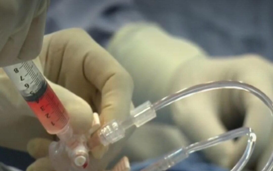 Día Mundial de la Hemofilia: Conoce los Síntomas y Personas en Riesgo