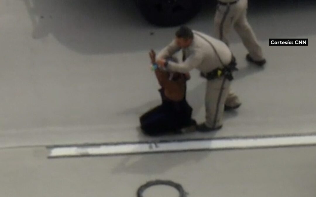 Impactante Persecución en Autopista de California Culmina con Detención de Mujer en Camión Robado