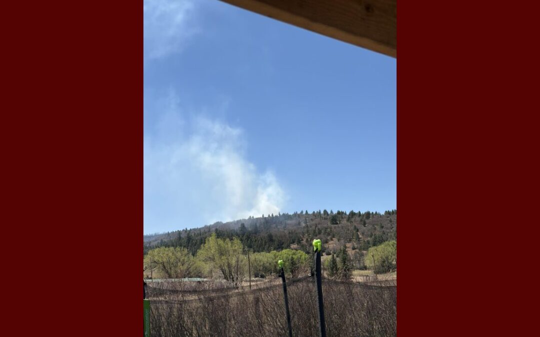 Incendio forestal en el Condado de Mora cierra carretera cerca de Collins Lake
