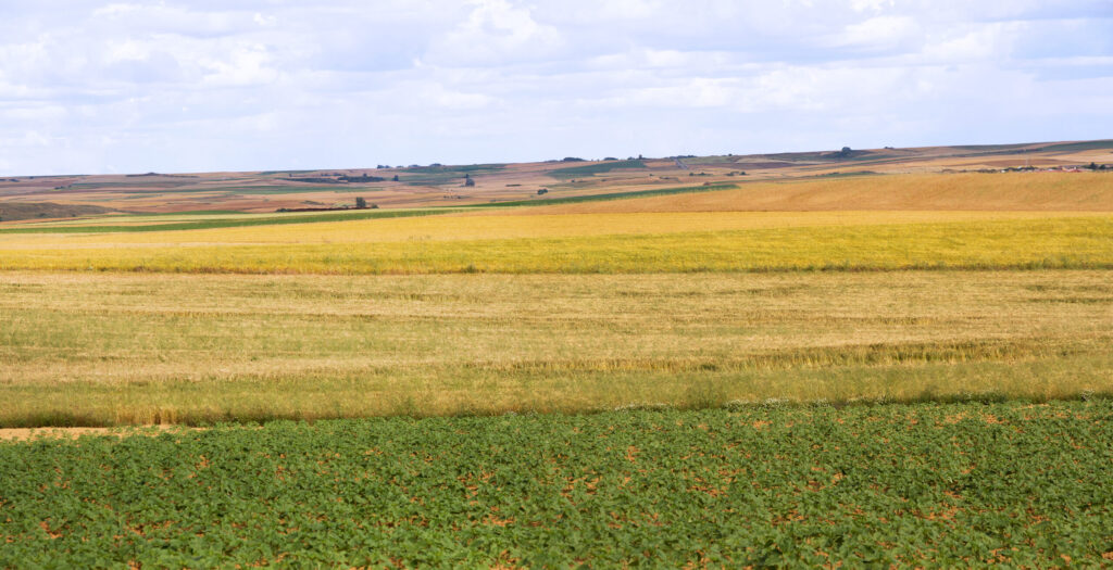 Audiencias Públicas En Gonzales: Comisión Costera De California Discute Infraestructura Y Agricultura