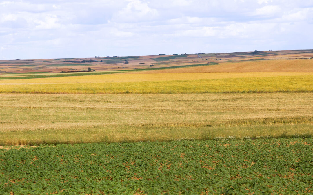 Audiencias Públicas en Gonzales: Comisión Costera de California Discute Infraestructura y Agricultura