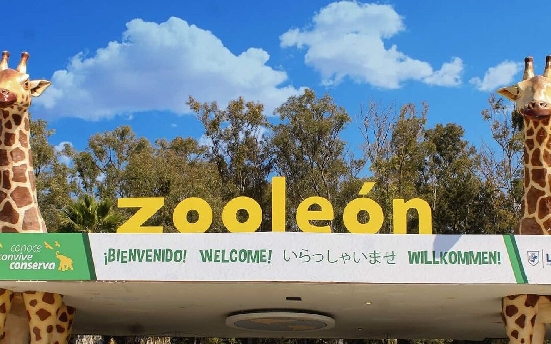 Sergio Contreras impulsa exhorto para desclasificar contrato fallido del Zoológico de León