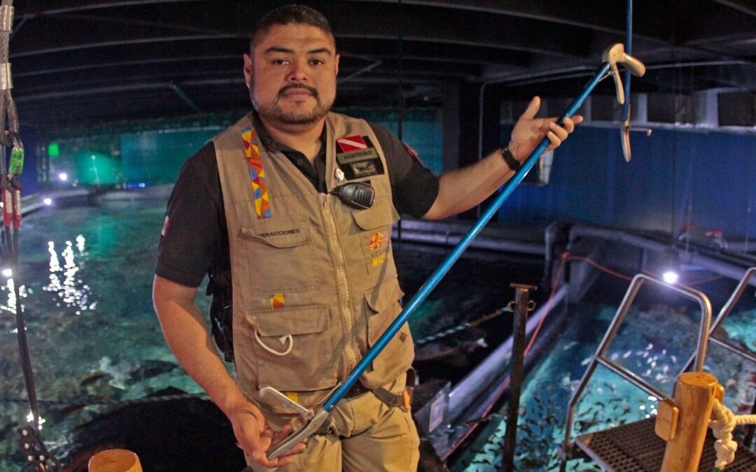 Descubre Emocionantes Vacantes en Acuario Michin Guadalajara: Desde Biólogos hasta Ventas