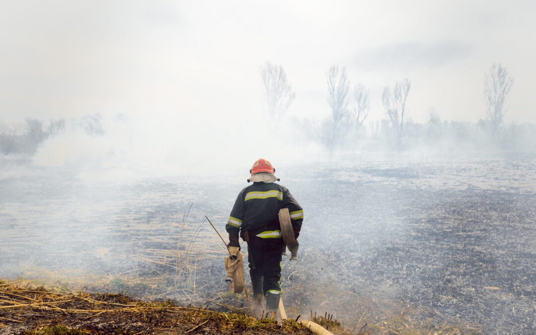 Incendio Helios en San Luis Obispo: Controlado en un 90% y reducido a 38 acres