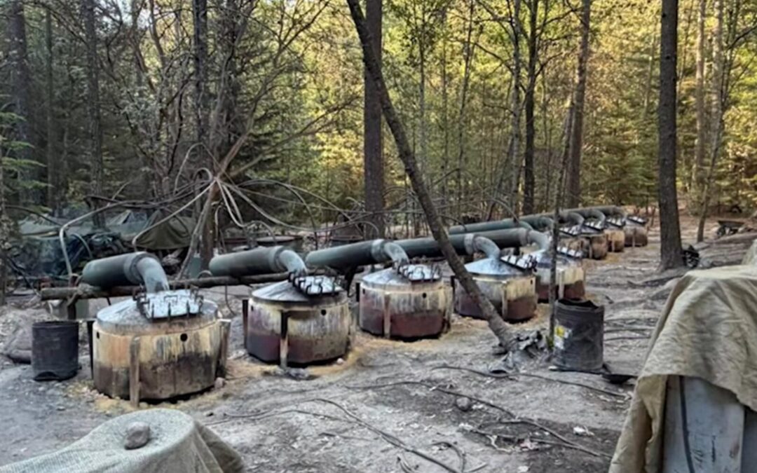 Fatal accidente en operativo antidrogas: Mueren agentes de la CIA y funcionarios mexicanos en Ciudad Juárez