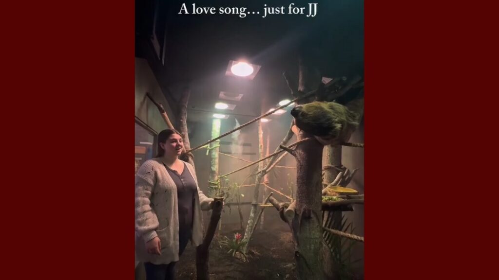 Descubre Las Nuevas Actividades Musicales Educativas En El Museo Infantil De Durham