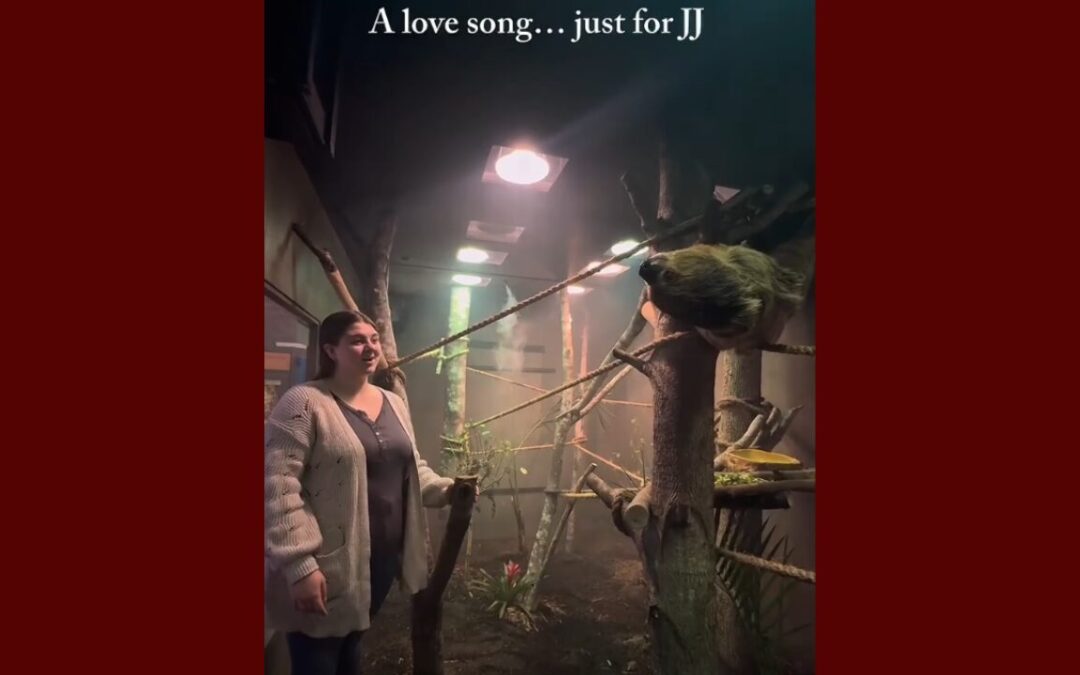 Descubre las Nuevas Actividades Musicales Educativas en el Museo Infantil de Durham