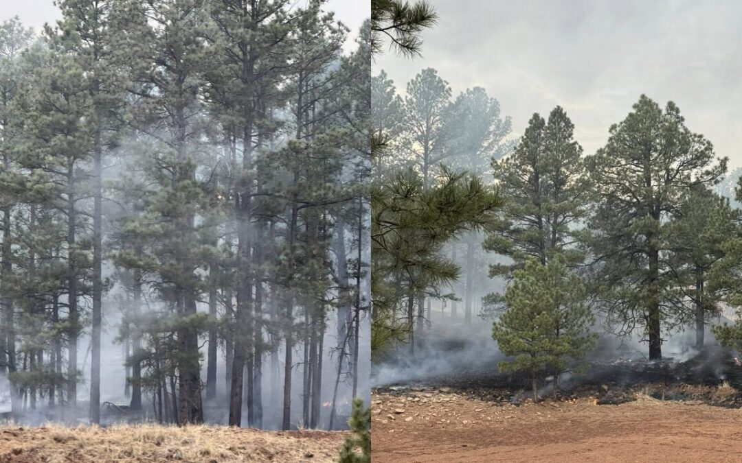 Incendio Forestal en Mora Obliga al Cierre de Carretera y Activa Alerta para Residentes