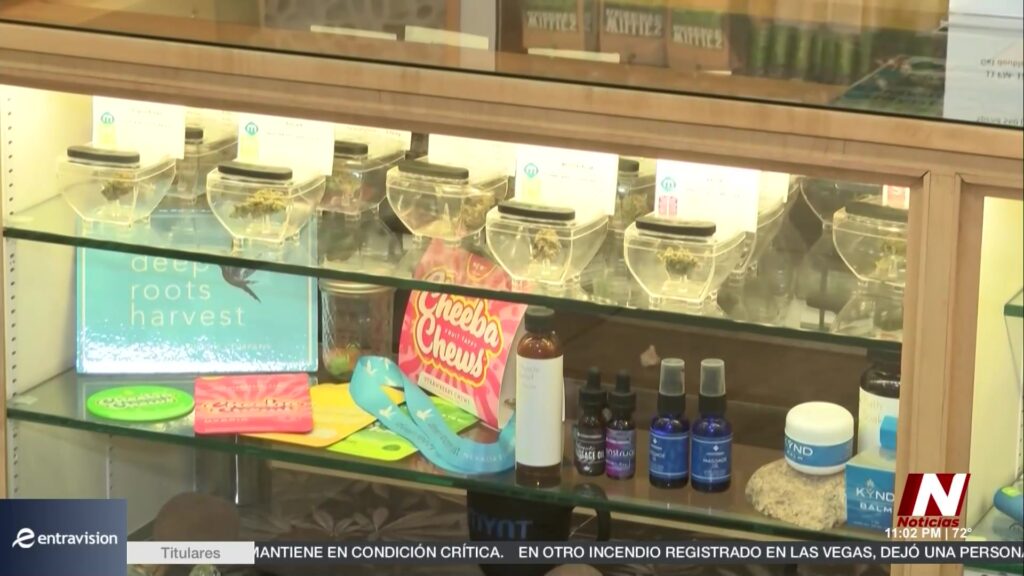 Cannabis En Nevada: Un Impulso Decisivo Para La Economía Local