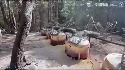 Trágico accidente en Chihuahua tras operativo antidrogas: implicados agentes estatales y de la Embajada de EE.UU.