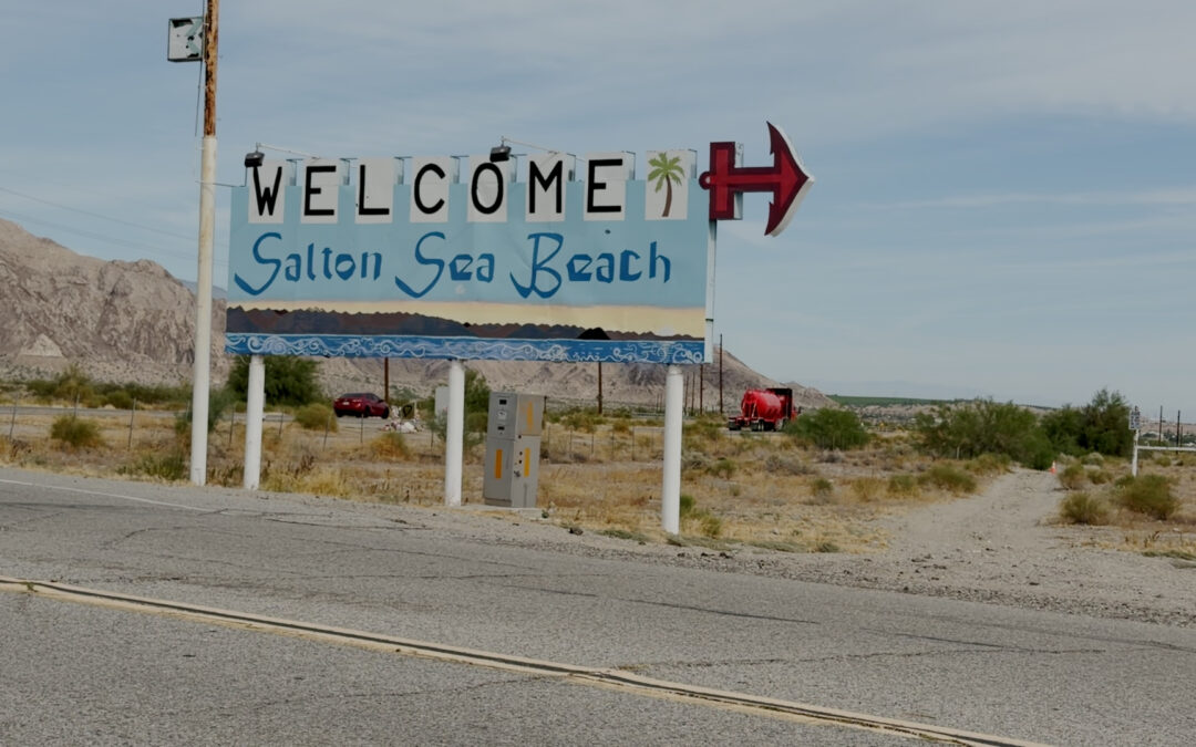 DÍA DE LA TIERRA: CRECE LA PREOCUPACIÓN POR LA CRISIS AMBIENTAL EN EL MAR DE SALTON