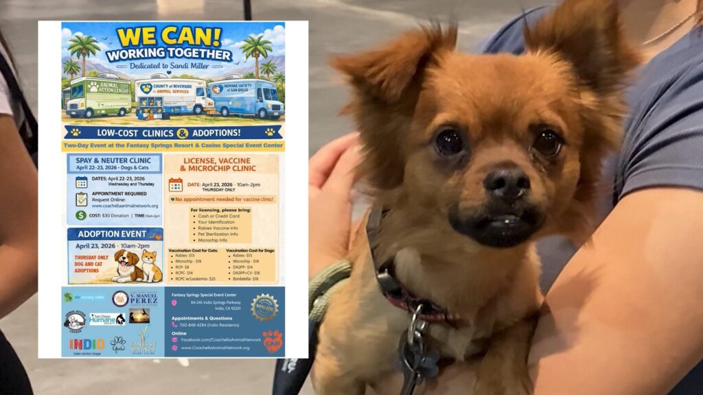 Indio: Clínica Veterinaria De Bajo Costo Ofrece Esterilización, Vacunas Y Adopciones Gratuitas Esta Semana