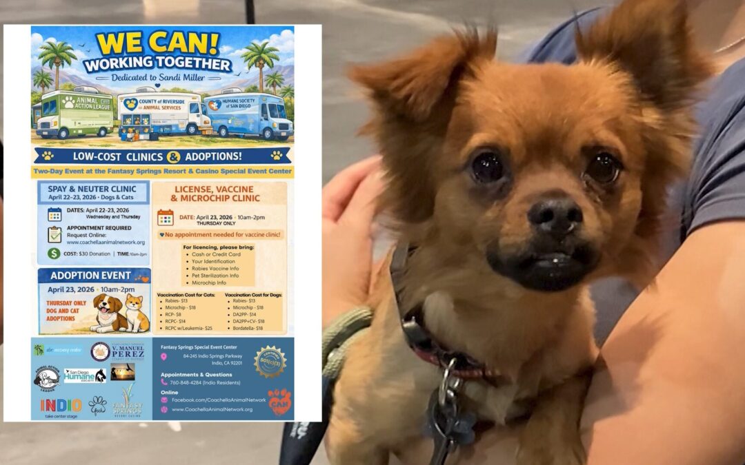 Indio: Clínica veterinaria de bajo costo ofrece esterilización, vacunas y adopciones gratuitas esta semana