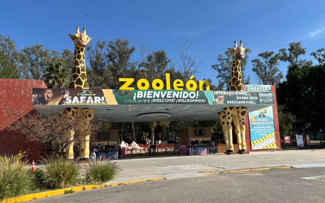 ¡Zoológico de León Cierra Temporalmente: Visitantes desde California Afectados!