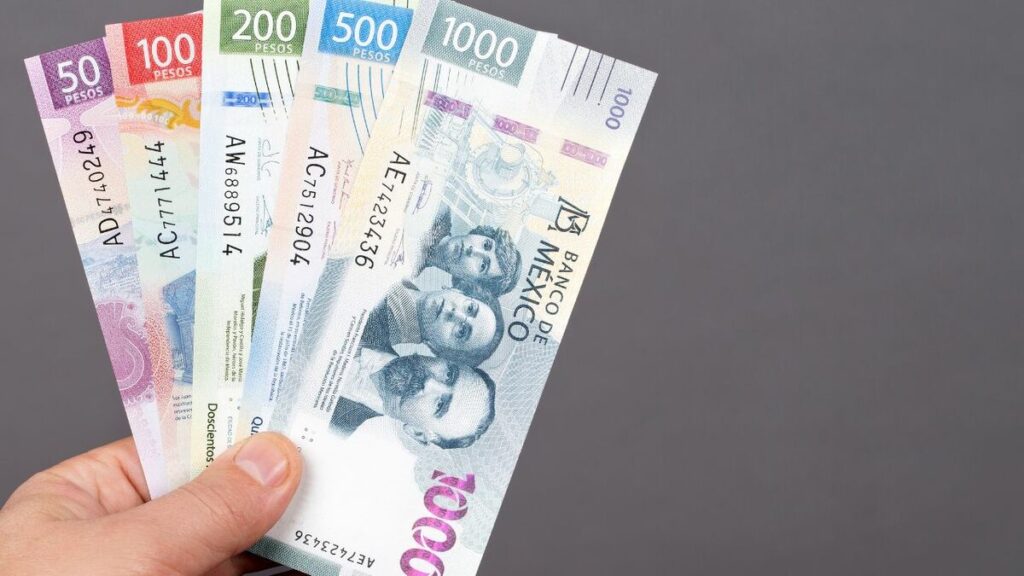 Descubre Cómo Calcular Tus Utilidades Tras Un Año En La Empresa