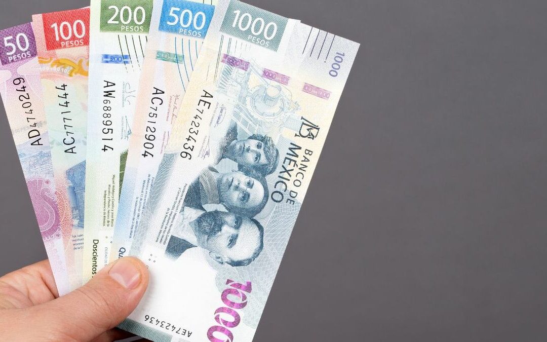 Descubre cómo calcular tus utilidades tras un año en la empresa