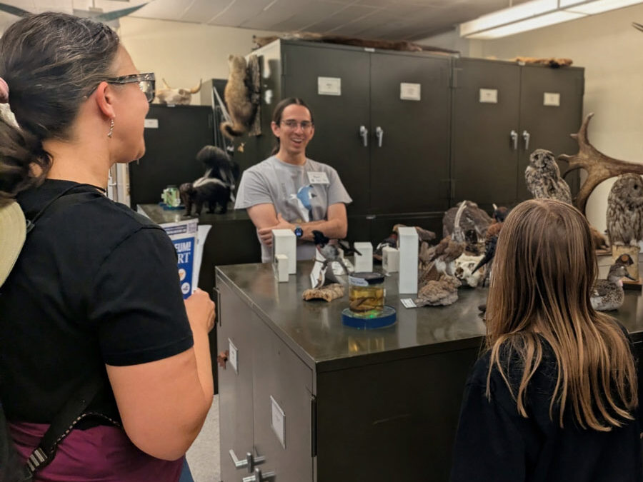 Descubre Eventos Gratis en la Universidad de Nevada, Reno, este Sábado