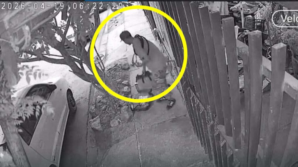 Impactante Robo En Torreón: Ladrones Captados Por Cámaras De Vigilancia