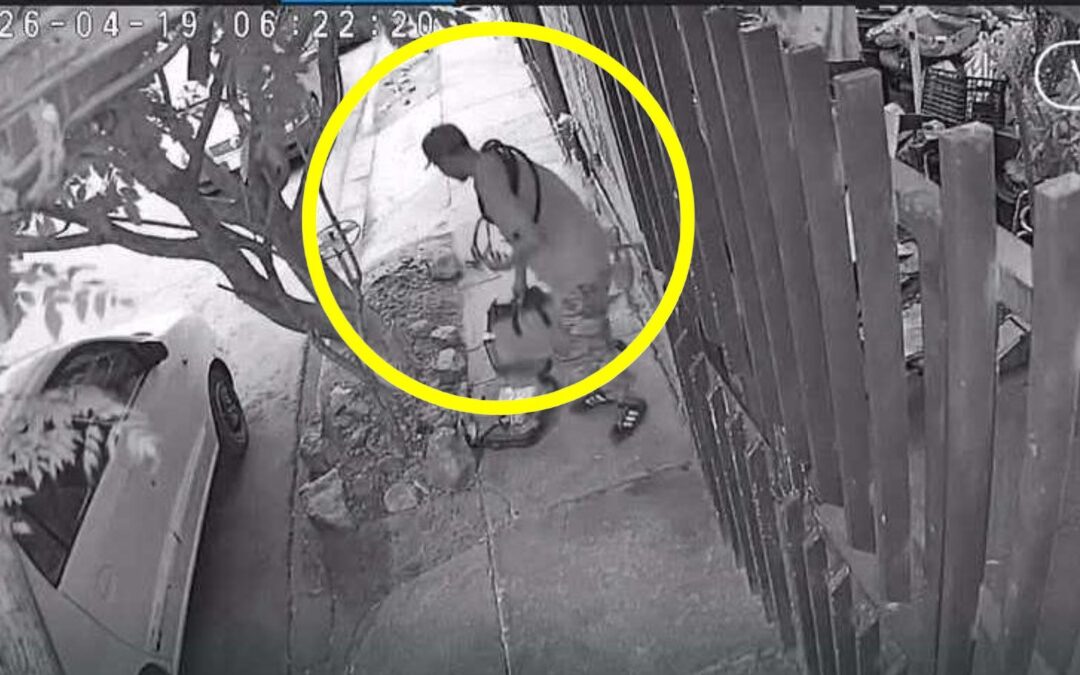 Impactante Robo En Torreón: Ladrones Captados Por Cámaras De Vigilancia