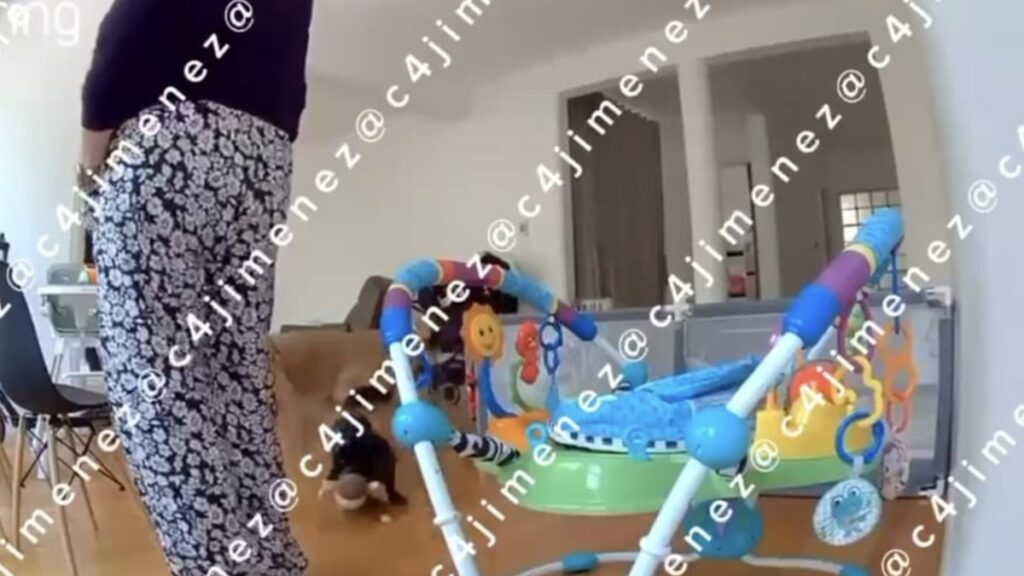 Impactante Caso: Esposo De Exreina De Belleza Convive 24 Horas Con Su Cadáver