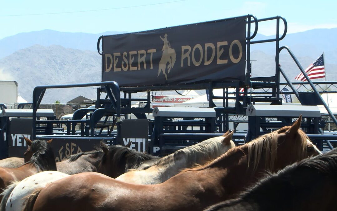 Rodeo impulsa economía local