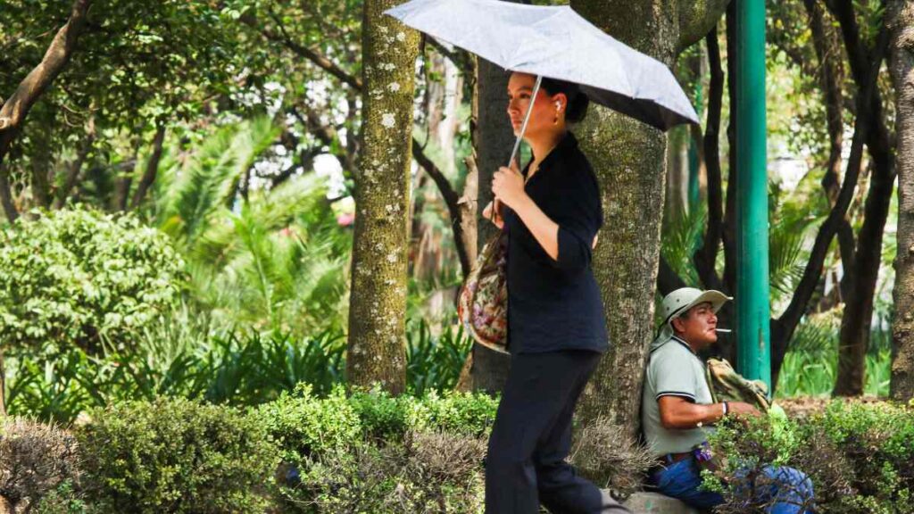 Clima Cdmx: Pronóstico Del Tiempo Para El 28 De Abril Y Consejos Útiles