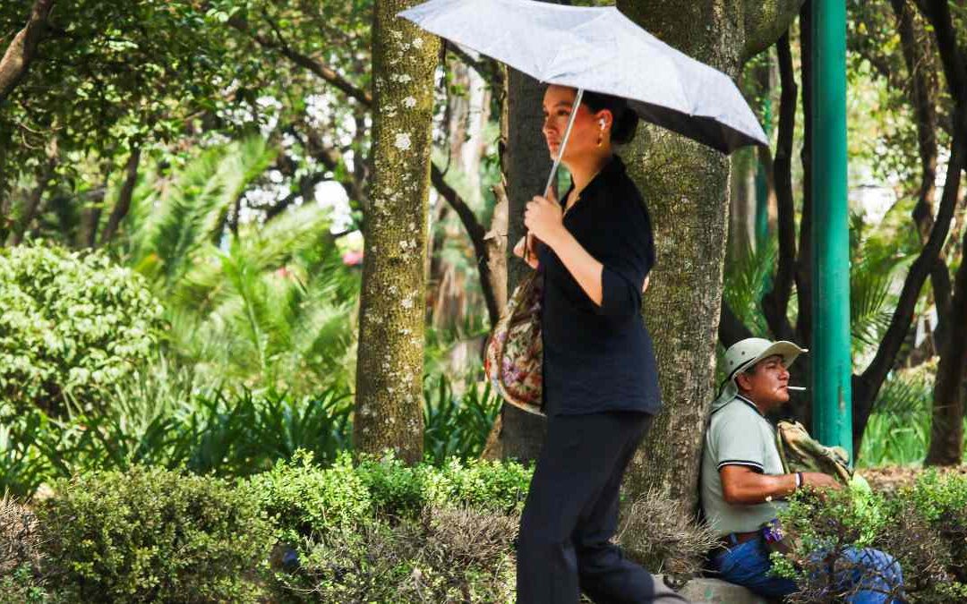 Clima CdMx: Pronóstico del Tiempo para el 28 de Abril y Consejos Útiles