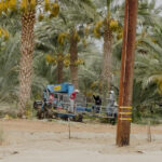 Gallery Thumbnail 4