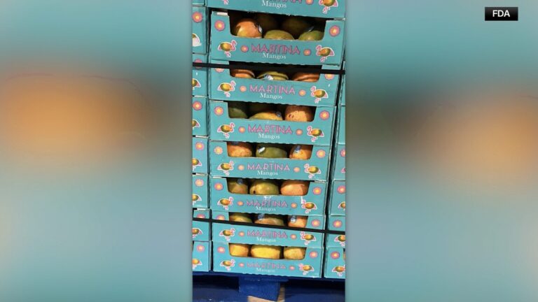 Retiran del mercado más de 300 cajas de mangos vendidas en Walmart por posible contaminación con salmonela
