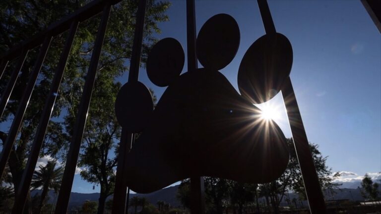¡Atención, dueños de mascotas! Cierran el parque de perros y varias áreas verdes en Rancho Mirage
