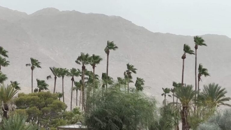 Alerta en el sur de California: Cuerpos de seguridad advierten sobre fuertes vientos y riesgo de apagones