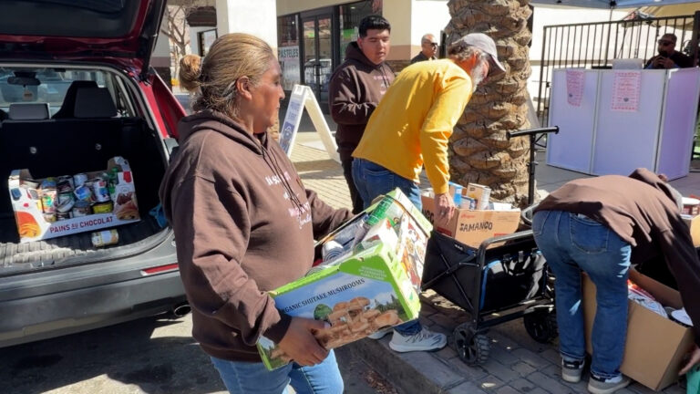 TODEC busca apoyo para llevar alimentos a familias agrícolas afectadas por las detenciones migratorias
